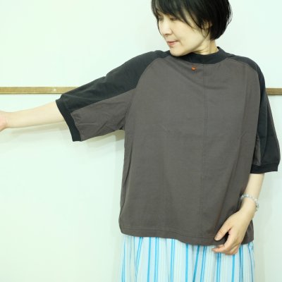 画像2: 良い色です！　TIGRE BROCANTE　モダン天竺のクアトロTシャツ