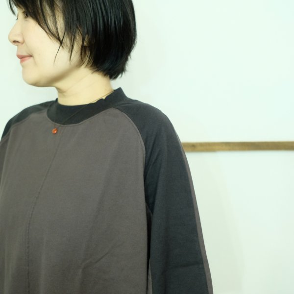 画像1: 良い色です！　TIGRE BROCANTE　モダン天竺のクアトロTシャツ (1)