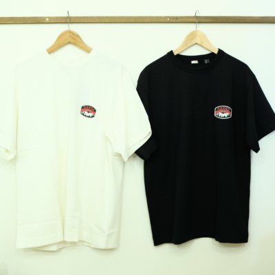 画像1: sale!!　NANGA30周年Tシャツ