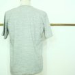 画像7: 春の色！　TIGRE BROCANTE　 ピジョンナッテイーTシャツ (7)