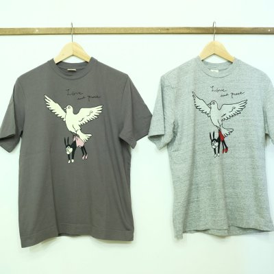 画像1: 春の色！　TIGRE BROCANTE　 ピジョンナッテイーTシャツ