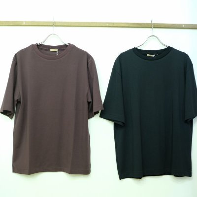 画像1: LA MOND　スヴィンコットンの5分袖Tシャツ