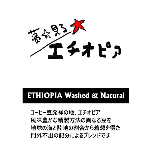 画像1: 香りの中深煎り！【中深煎り】夢見るエチオピア (1)